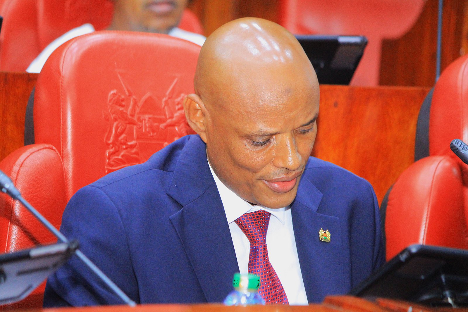 Mohamed Ibrahim Amin