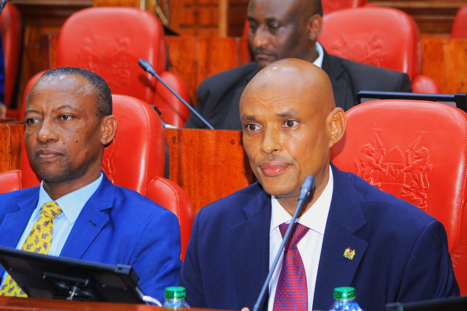 Mohamed Ibrahim Amin