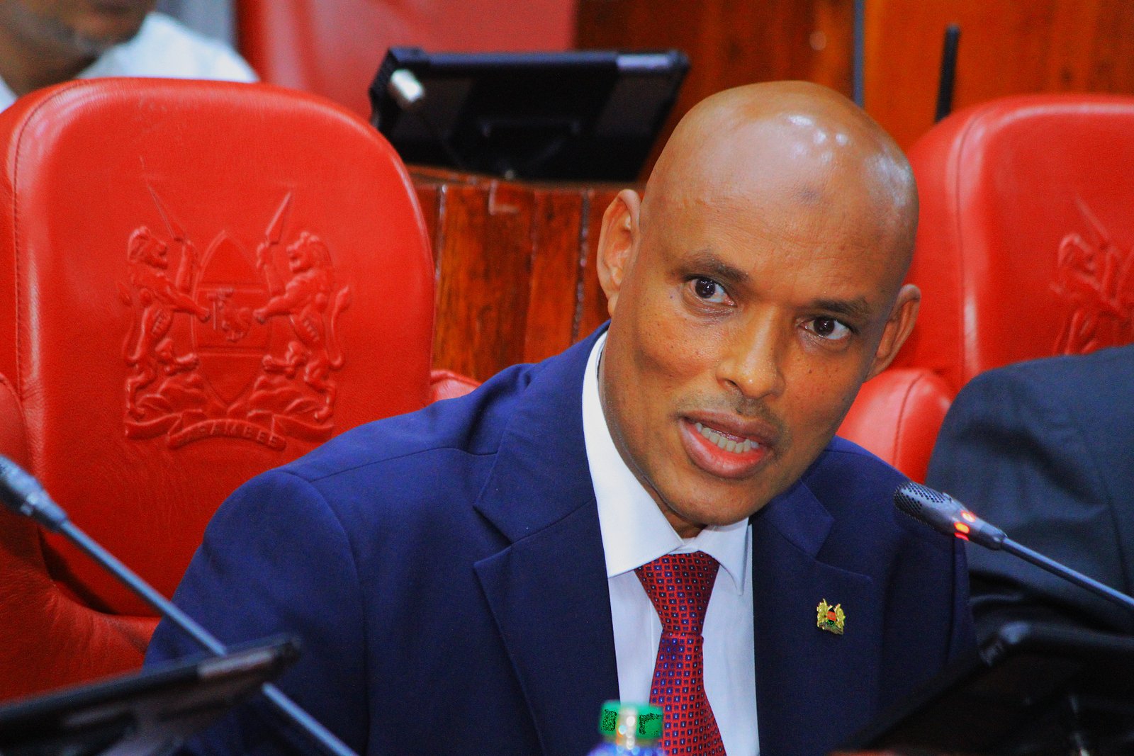Mohamed Ibrahim Amin