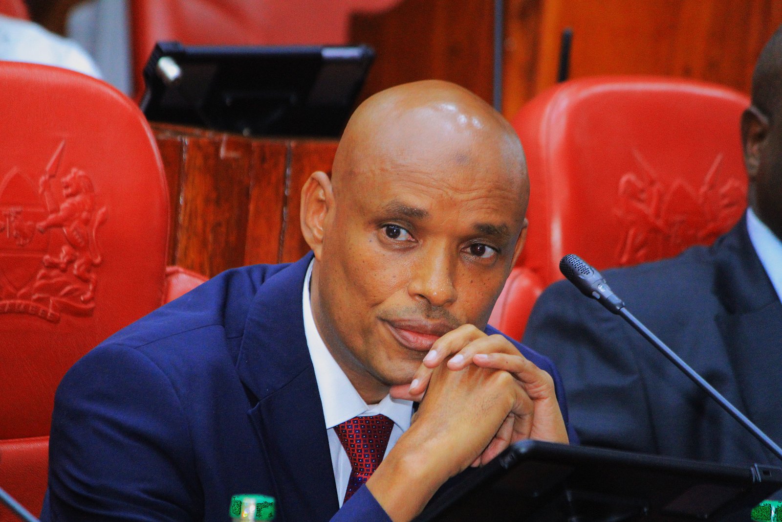 Mohamed Ibrahim Amin