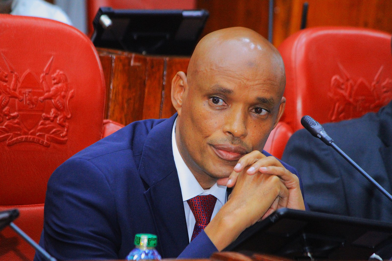 Mohamed Ibrahim Amin