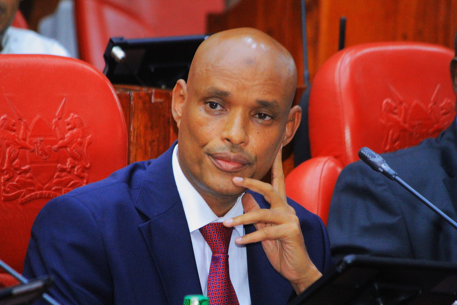 Mohamed Ibrahim Amin