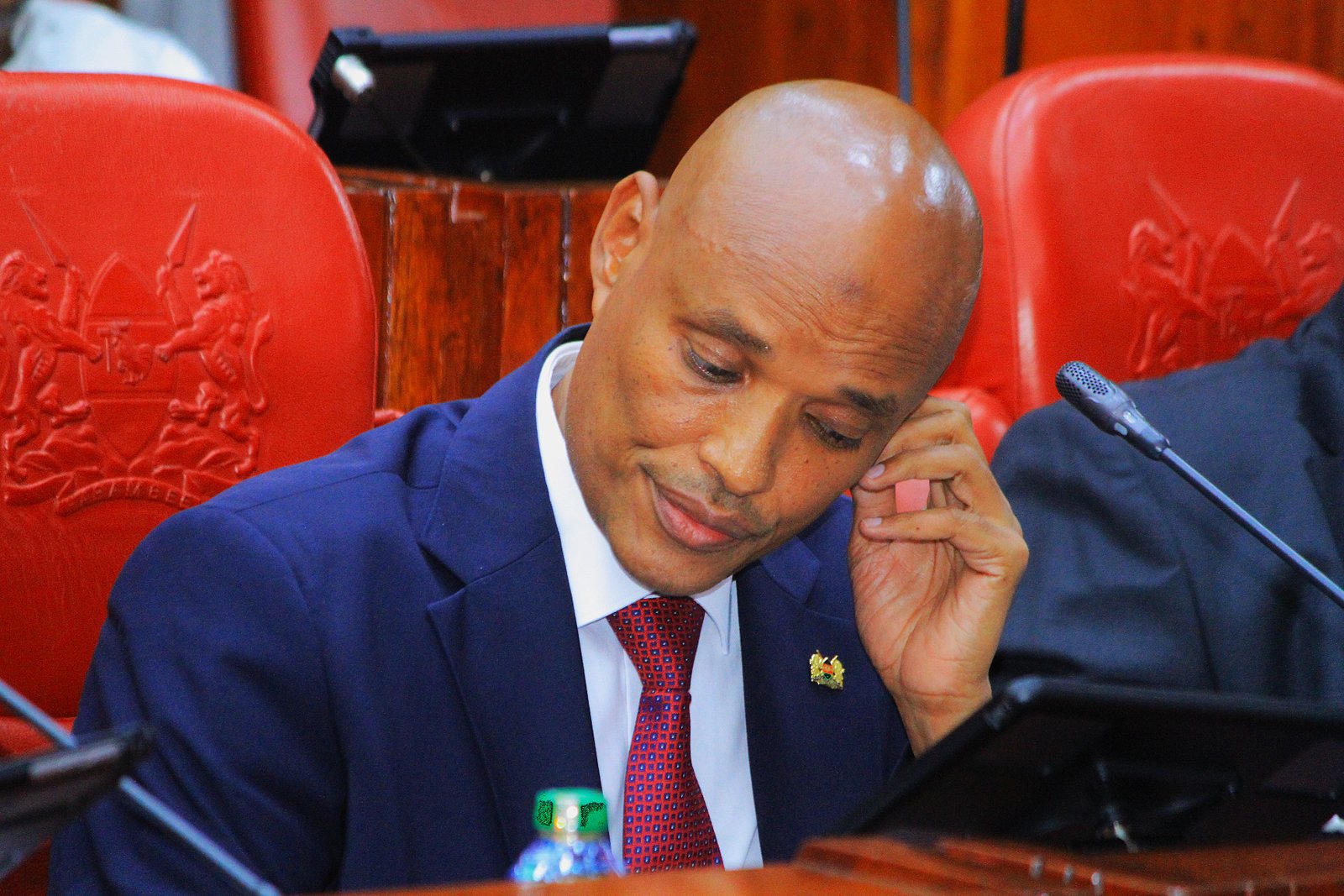 Mohamed Ibrahim Amin