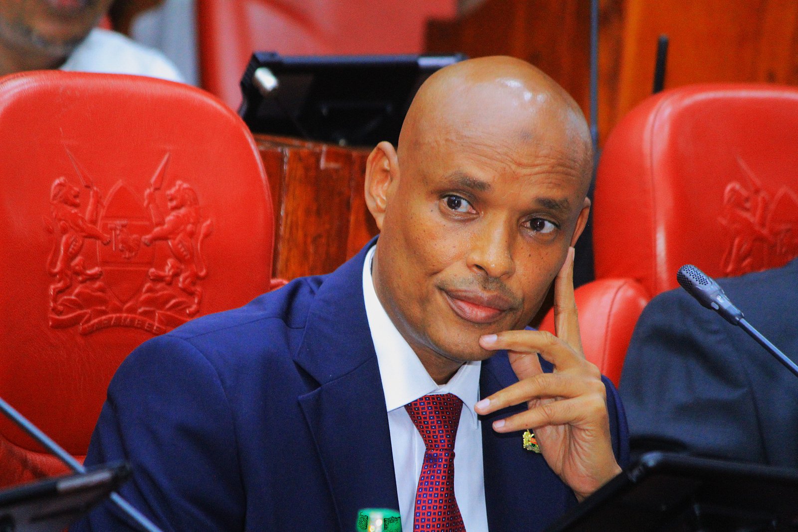 Mohamed Ibrahim Amin