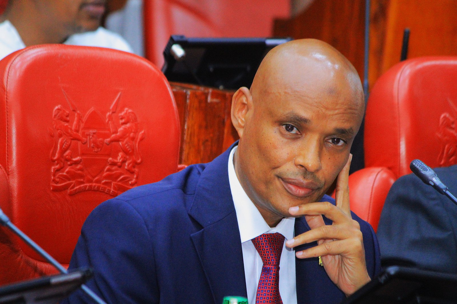 Mohamed Ibrahim Amin