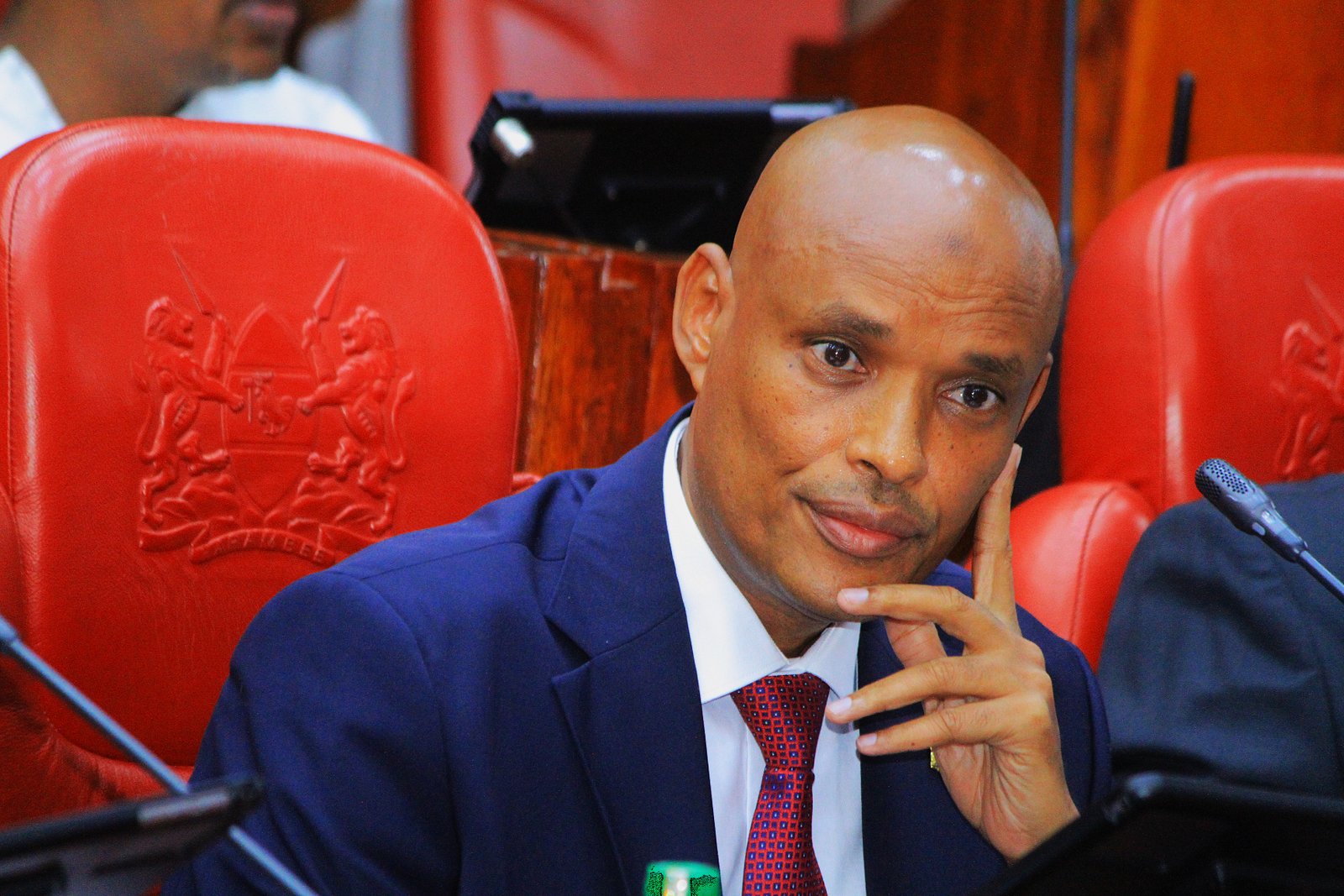 Mohamed Ibrahim Amin