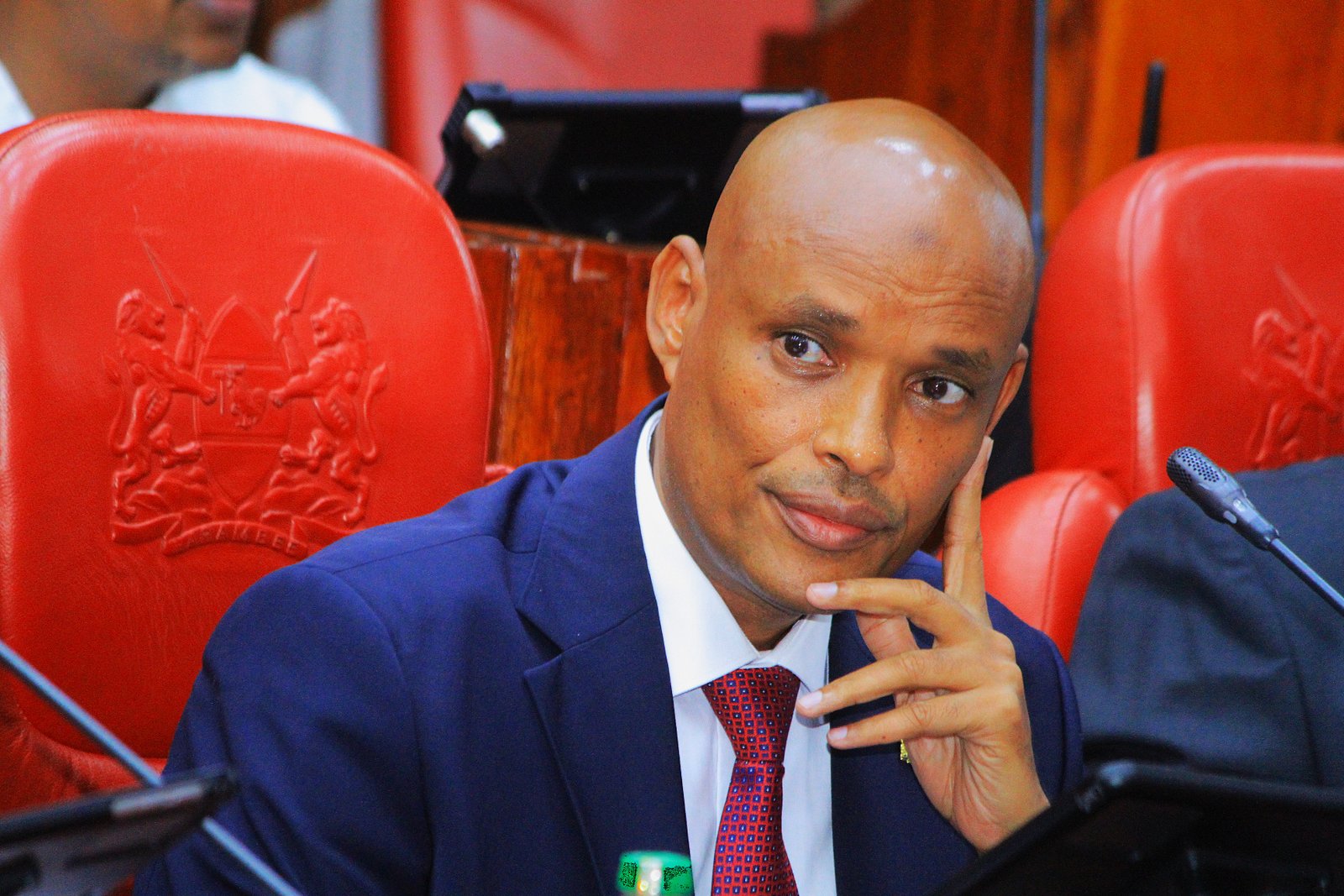 Mohamed Ibrahim Amin