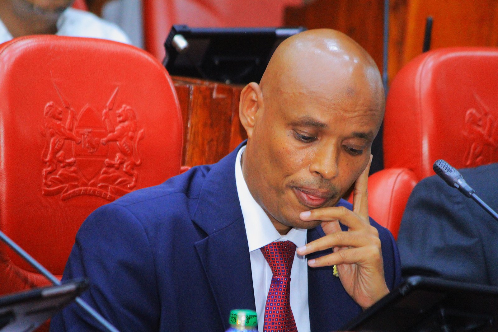 Mohamed Ibrahim Amin