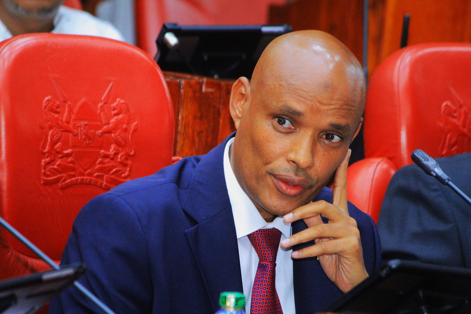 Mohamed Ibrahim Amin