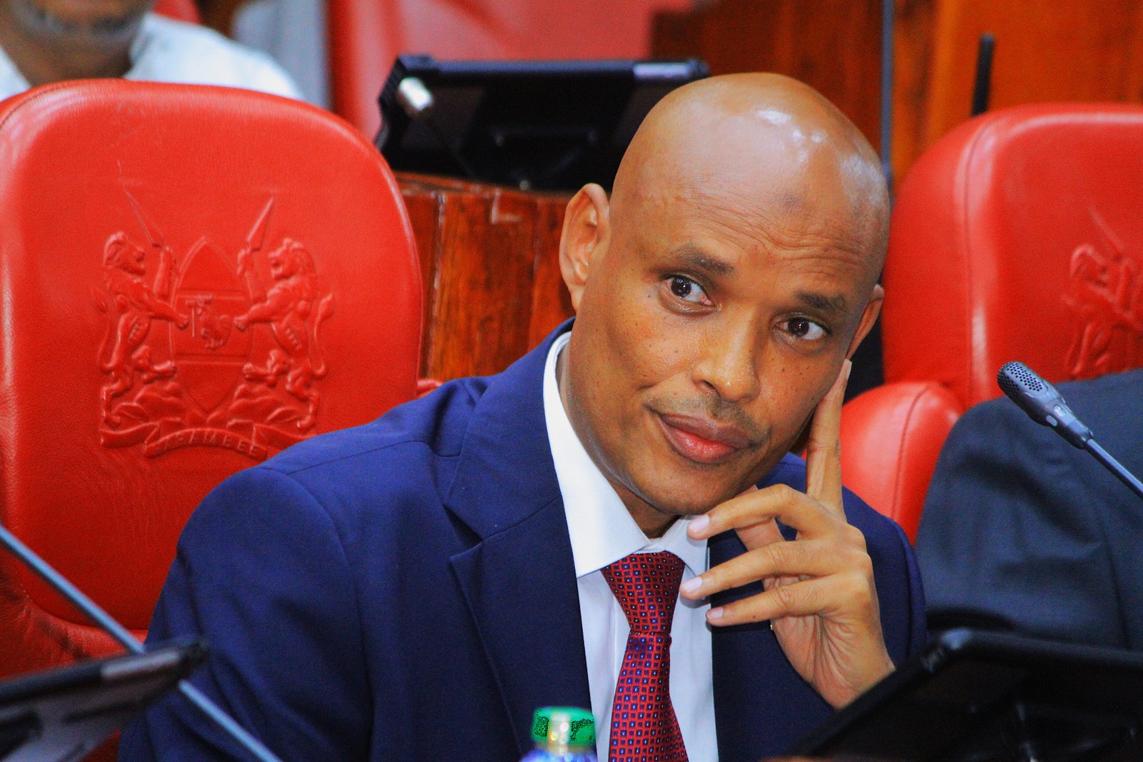 Mohamed Ibrahim Amin